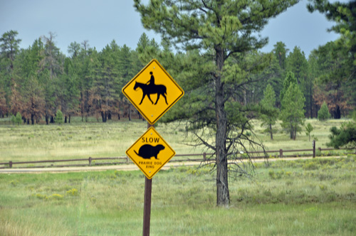 sign: watch for horses and groundhogs crossing the streets